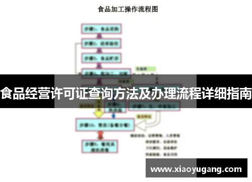 食品经营许可证查询方法及办理流程详细指南